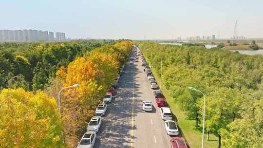 西安河堤路公路秋色