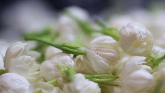 升格慢动作微距特写茉莉花与茉莉花茶制作