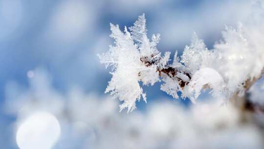 唯美雪景背景视频素材