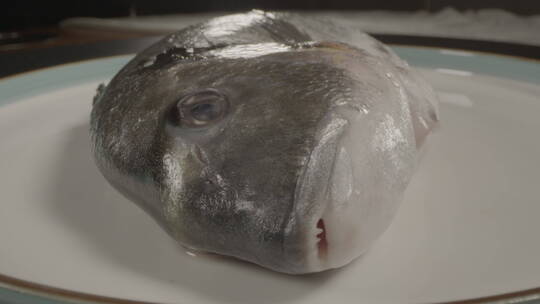 南海深海鱼金头鲷4