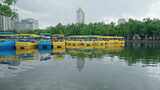 公园游船翠湖划船阴天3697高清在线视频素材下载