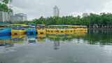 公园游船翠湖划船阴天3697高清在线视频素材下载