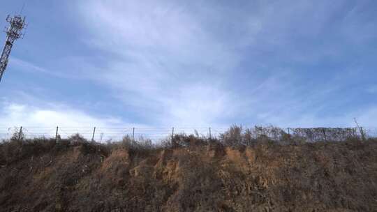 旅行 沿途风景 公路 树