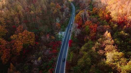 秋季东北最美公路