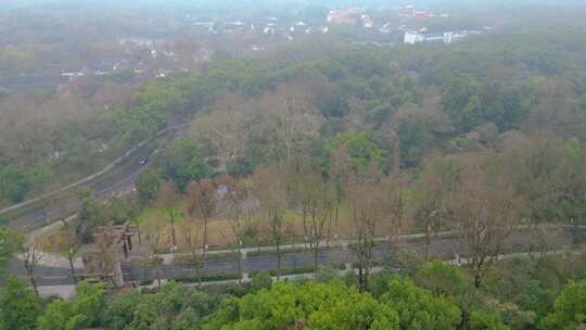 杭州植物园春天树林风景视频素材航拍