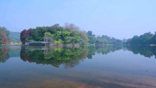 广州麓湖公园落羽杉山林湖景自然风光