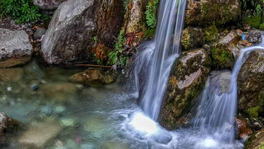 白天美丽雨林中的小瀑布延时。美丽的自然景观