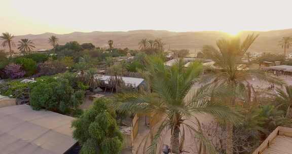 沙漠中的幸福村，日落时棕榈树，人们走过
