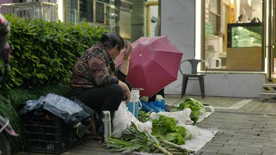 社会公益街头卖菜老人