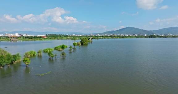 【正版素材】玉溪江川湿地公园航拍0480