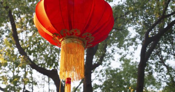 大红灯笼挂在树下吉利祥和喜庆过年