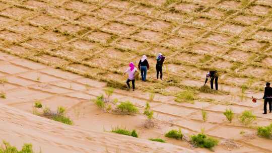 航拍 沙漠防沙治沙种植绿视频素材模板下载