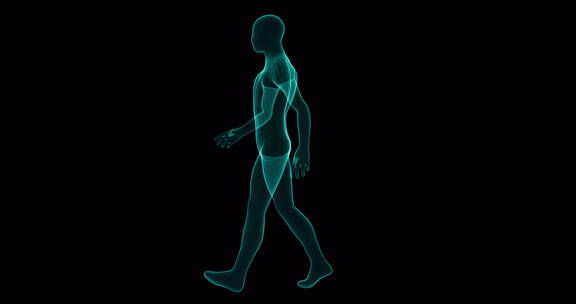 AI机器人行走科技数字数字人体数字视频