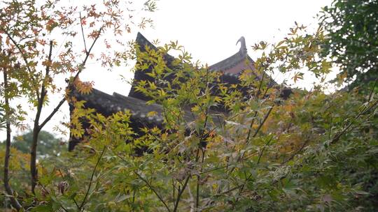 杭州三台山景区慧因高丽寺