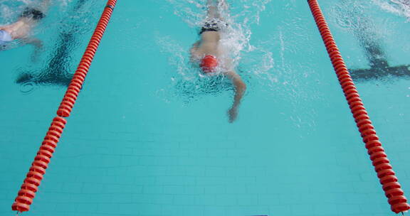 游泳 游泳比赛 蝶泳 自由泳 游泳池