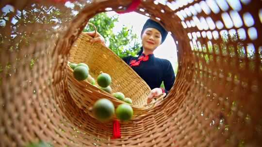 澳洲坚果 夏威夷果