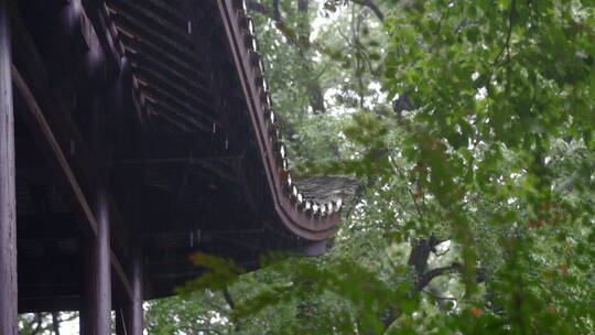 下雨屋檐雨水雨滴雨天意境素材视频素材模板下载