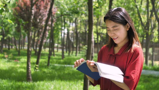 中国女性美女在公园树林看书学习