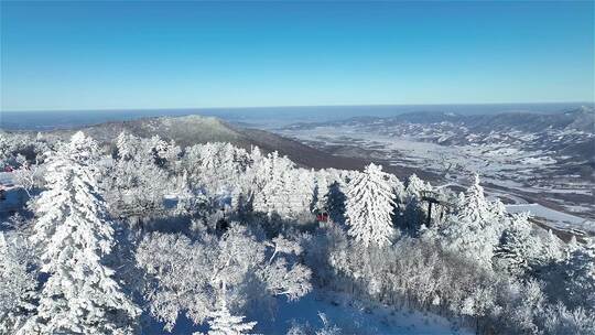 高山雾凇