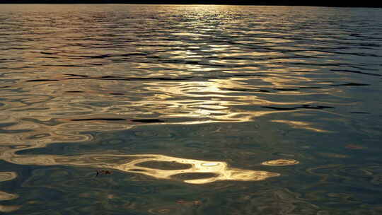 夕阳下的西湖水面波光粼粼