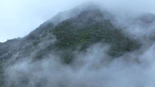 大山森林云雾缭绕