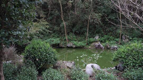 杭州三天竺三生石风景