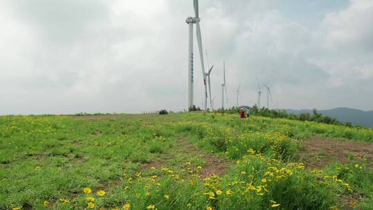 户外自然风光花卉新能源风力发电机