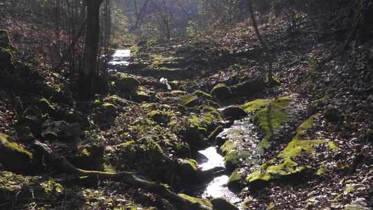 山涧溪流