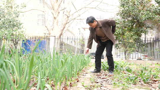 男子手持农具在菜园里劳作