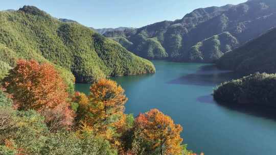 四明山秋天秋景秋色 茅镬公园