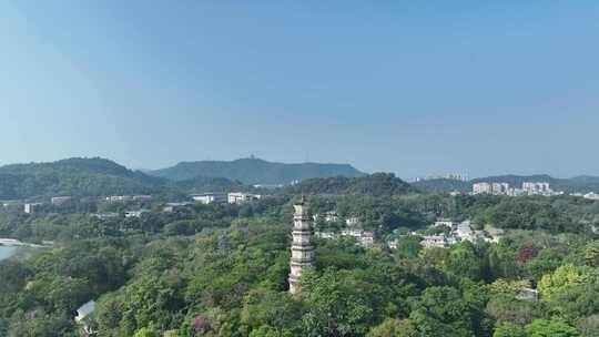 惠州西湖景区航拍惠州西湖泗洲塔湖泊风景视频素材模板下载