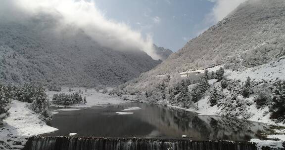 冬季雪景森林冬季 森林 云杉 大雪覆盖