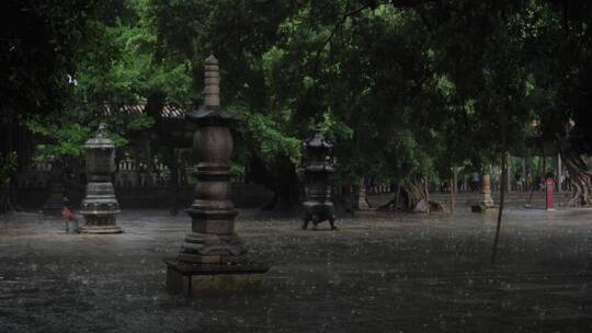 泉州开元寺雨景雨天宗教佛教