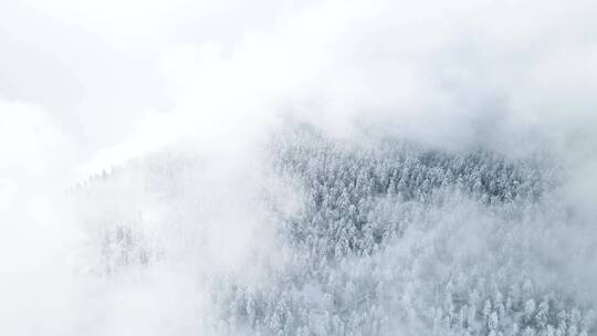 四川瓦屋山著名风景区雪景雾凇雪山航拍