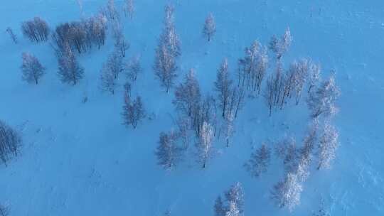 航拍疏林雪原白雪皑皑