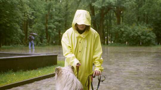 穿雨衣遛狗的人