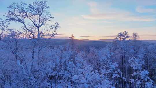 大兴安岭冰雪世界雪森林雾凇-2