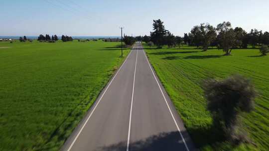 绿色乡村风光中的柏油路