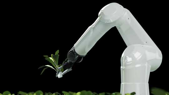 机械臂采摘室内蔬菜未来农业