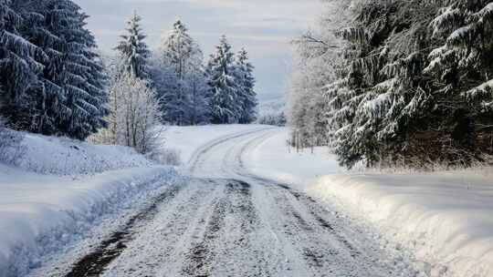 积雪覆盖的森林道路