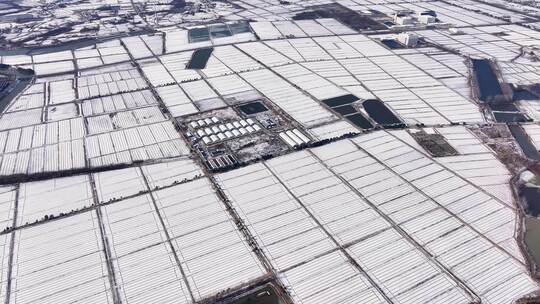 航拍乡镇雪景学校建筑田地大桥别墅河流房屋