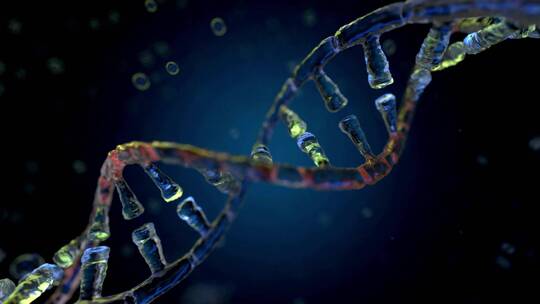 DNA链3D动画