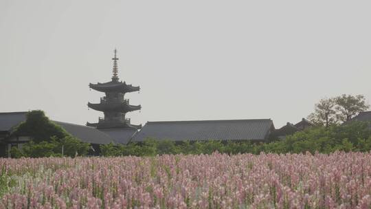 花海与拈花塔中焦