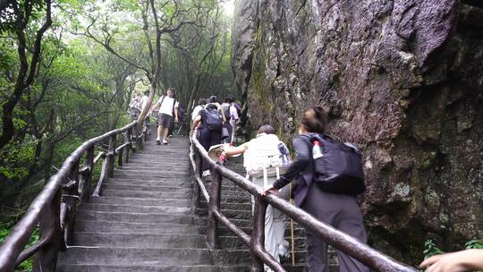 清晨爬山登山上楼梯背影脚步特写森林爬楼梯