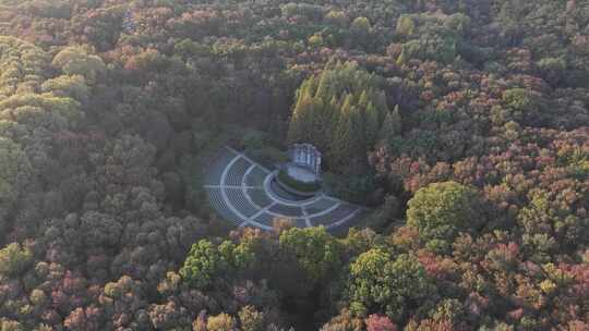 南京秋天 音乐台 中山陵风景区