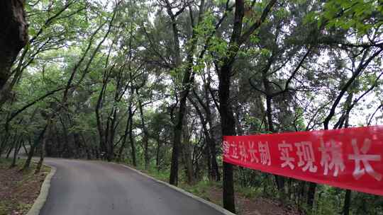 爱护环境标语 林长制 绿水青山 (5)