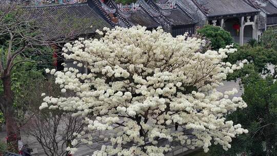 中国广东省广州市番禺区南村镇余荫山房