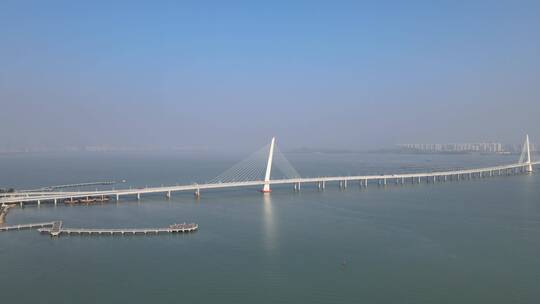 深圳湾大桥 大桥 跨海大桥 口岸通道视频素材模板下载