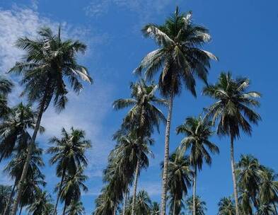 甜蜜的回忆 回忆 甜蜜 怀旧 温暖 电