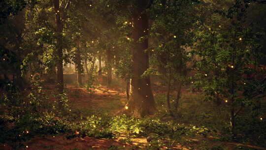 充满了许多被灯光覆盖的树木的森林